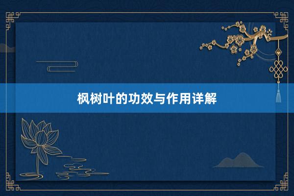 枫树叶的功效与作用详解