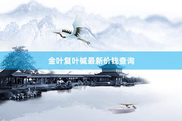 金叶复叶槭最新价钱查询