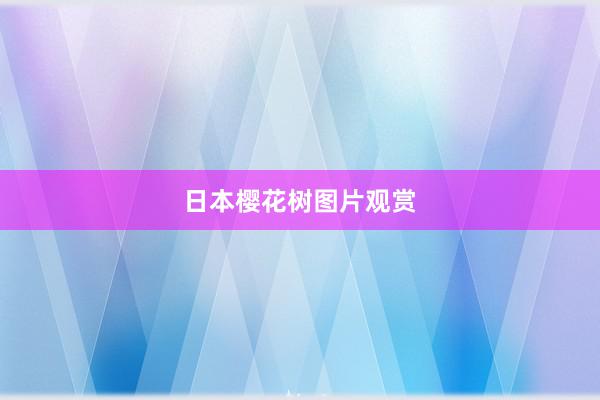 日本樱花树图片观赏