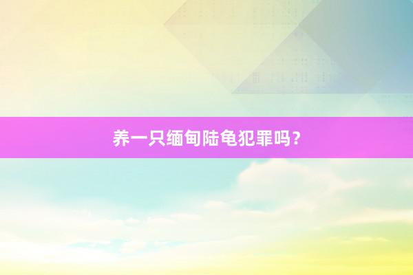 养一只缅甸陆龟犯罪吗？