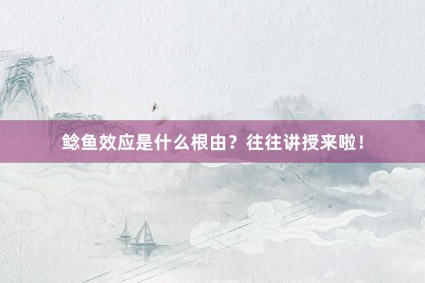 鲶鱼效应是什么根由？往往讲授来啦！
