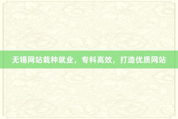 无锡网站栽种就业，专科高效，打造优质网站