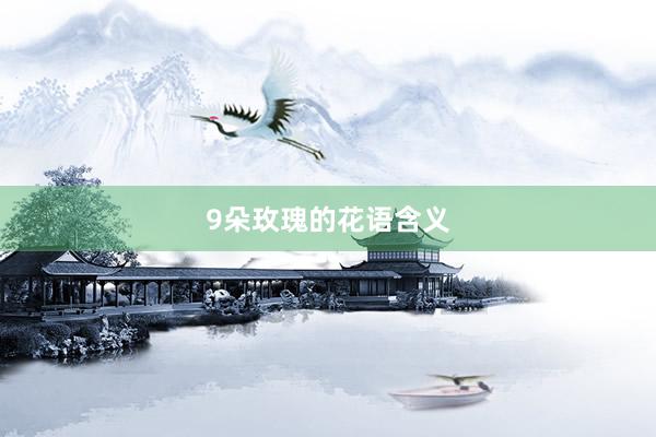 9朵玫瑰的花语含义