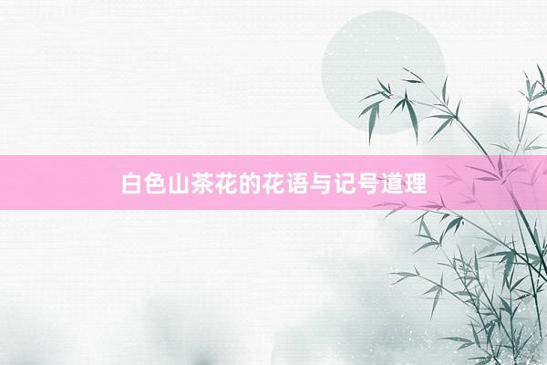 白色山茶花的花语与记号道理