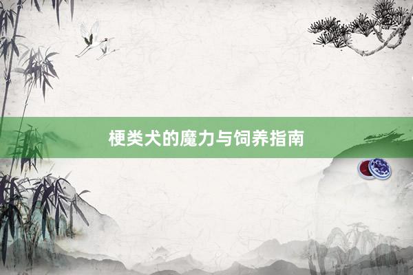梗类犬的魔力与饲养指南