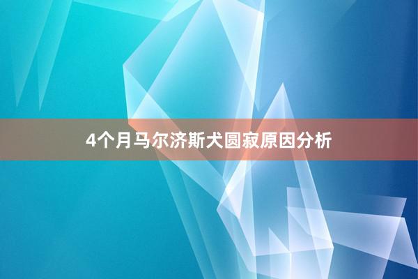 4个月马尔济斯犬圆寂原因分析