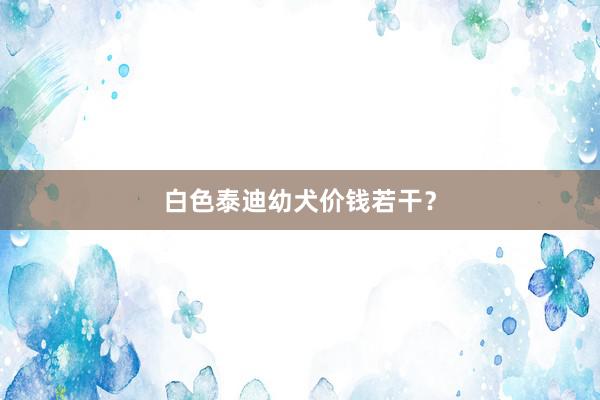 白色泰迪幼犬价钱若干？