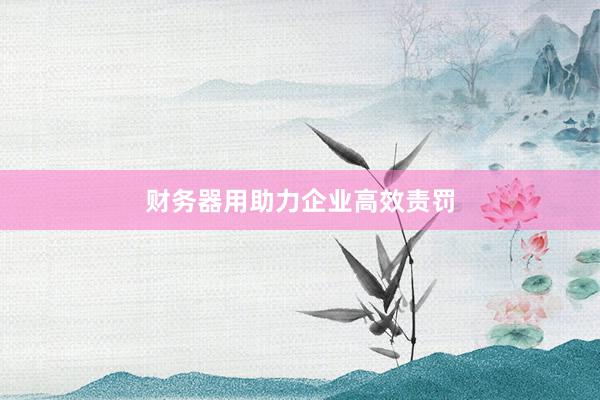 财务器用助力企业高效责罚